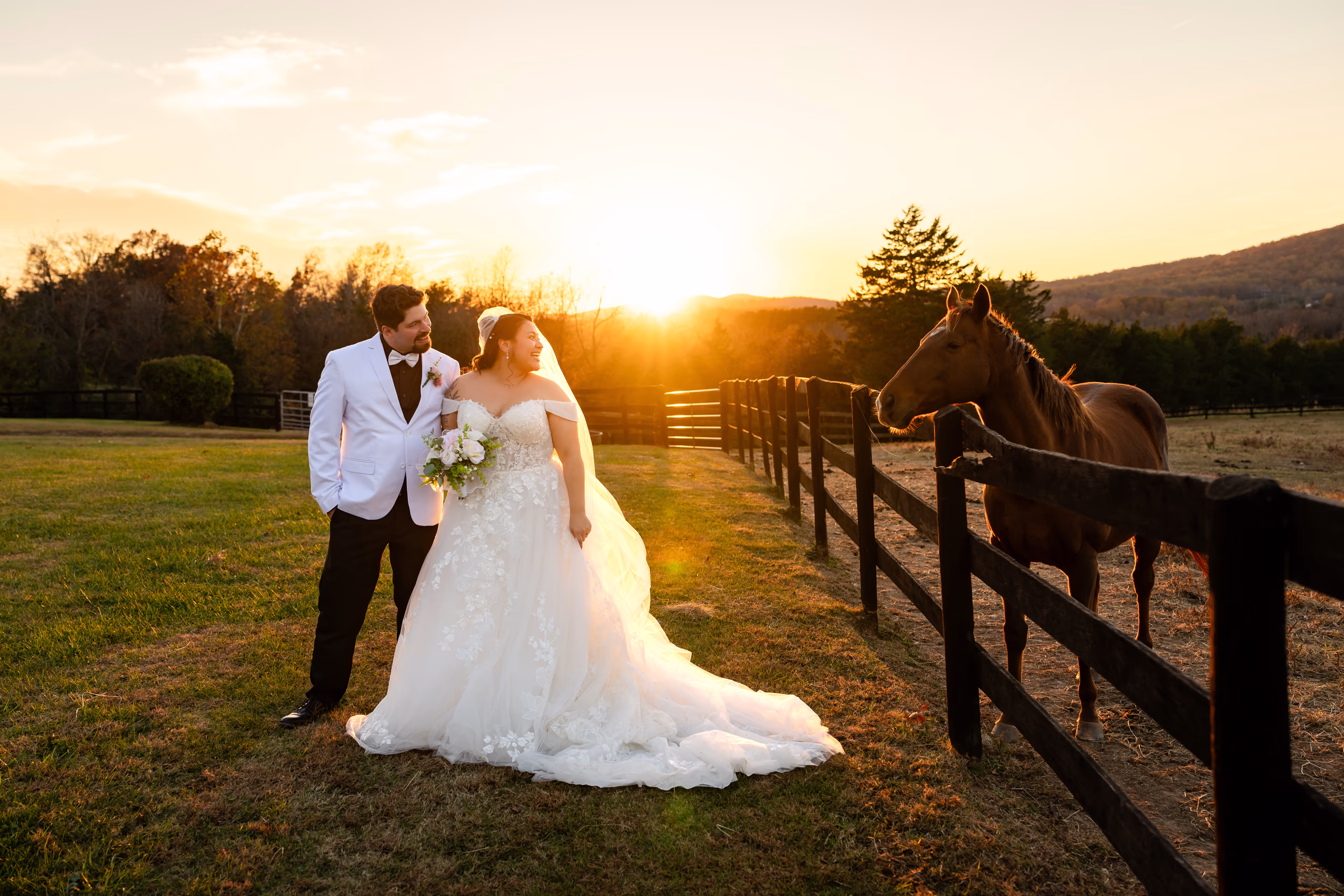 Bride and groom with a horse at sunset
